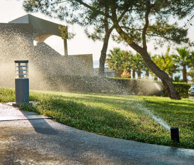 Sprinklers spray water over green grass beside a sunny sidewalk, showing expert sprinkler installation.