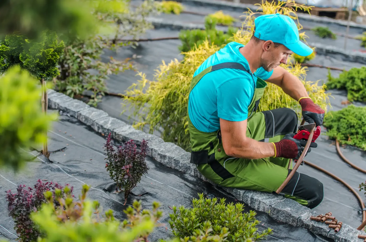 A gardener in a blue cap and green overalls installs sprinklers in a landscaped Palm Beach County, FL garden.