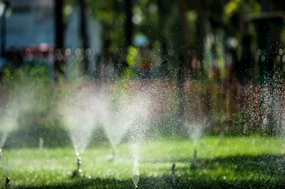 Sprinklers water vibrant green grass in a bright Florida garden, showing efficient sprinkler systems.