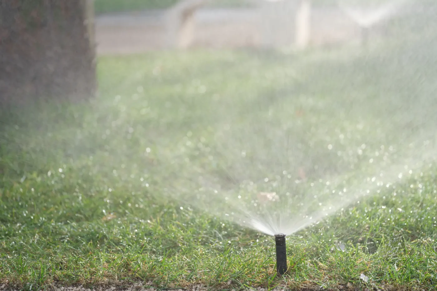 A sprinkler sprays water on lush green grass in sunlight, ideal for sprinkler repair Palm Beach County, FL.