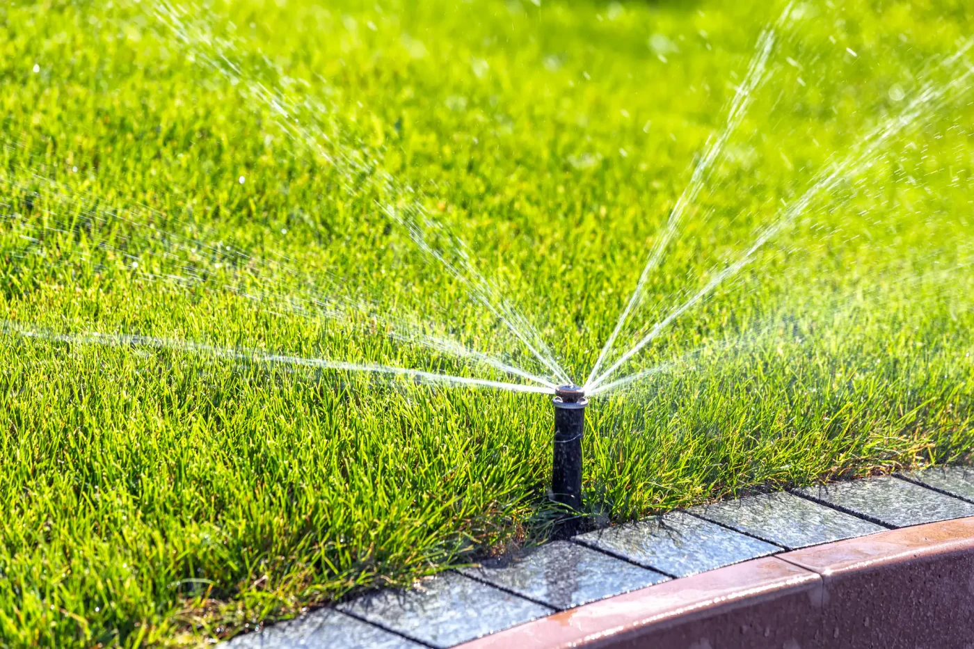 A sprinkler system in Palm Beach County, FL irrigates green grass next to a stone-edged garden pathway.