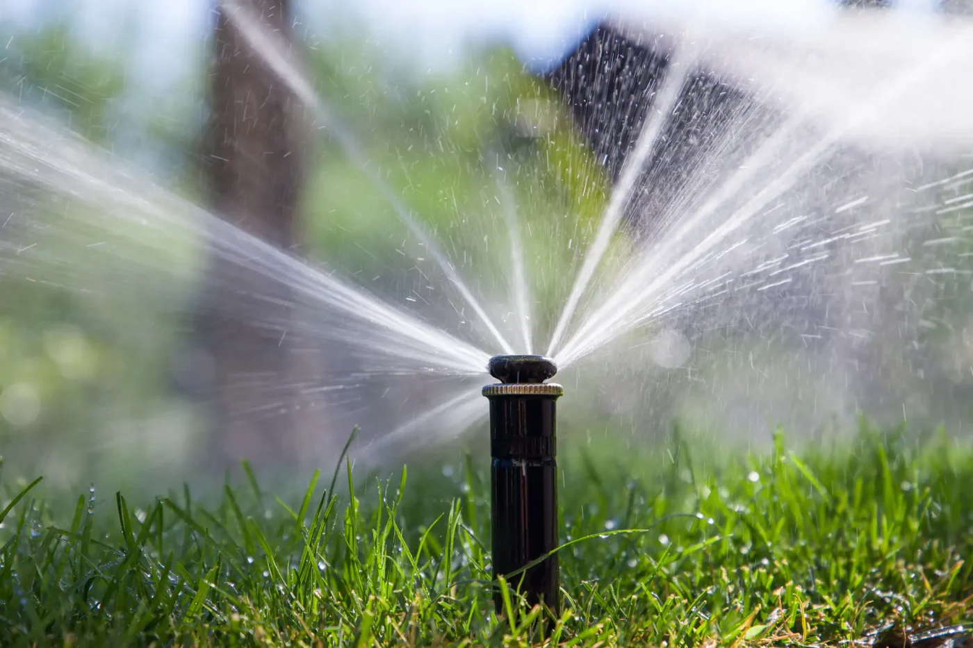 A sprinkler waters lush green grass in sunlight, illustrating reliable sprinkler systems Palm Beach County, FL.