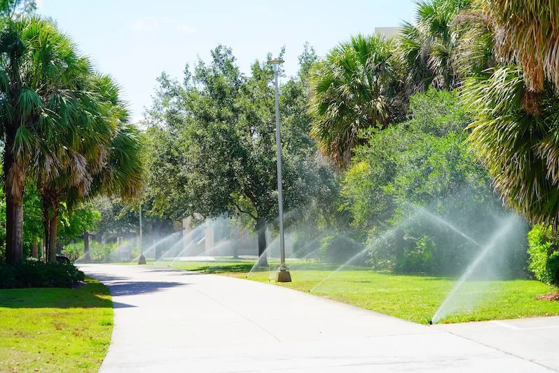 Sprinkler systems in Palm Beach County, FL water green grass beside a sunny, palm-lined sidewalk with lush foliage.