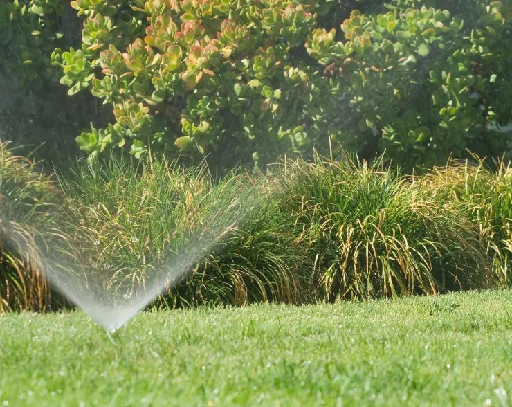 Sprinkler Contractors of the Palm Beaches technician installing a residential in-ground irrigation system
