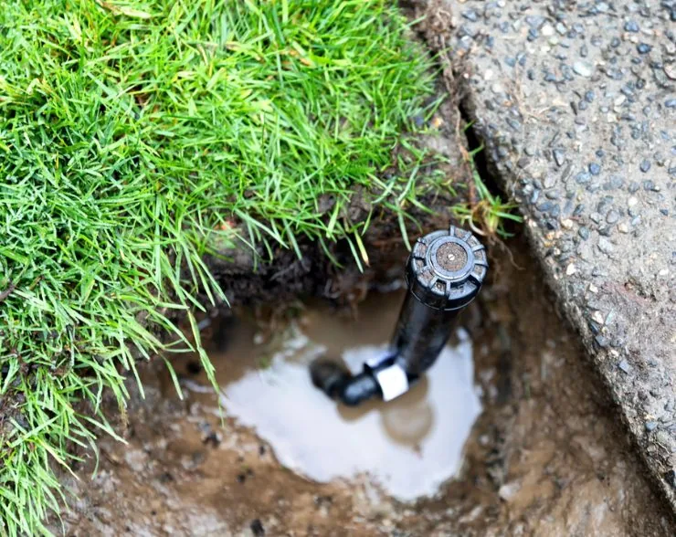 An exposed sprinkler head from Palm Beach County, FL sprinkler systems sits in a muddy hole by grass and concrete.